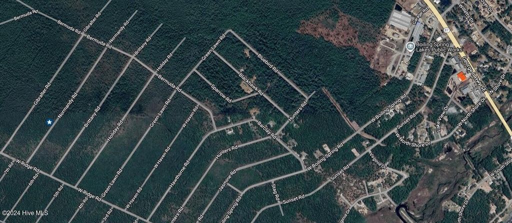 Photo of 705 Normandy Road, Boiling Spring Lakes, NC 28461 (MLS # 100477708)