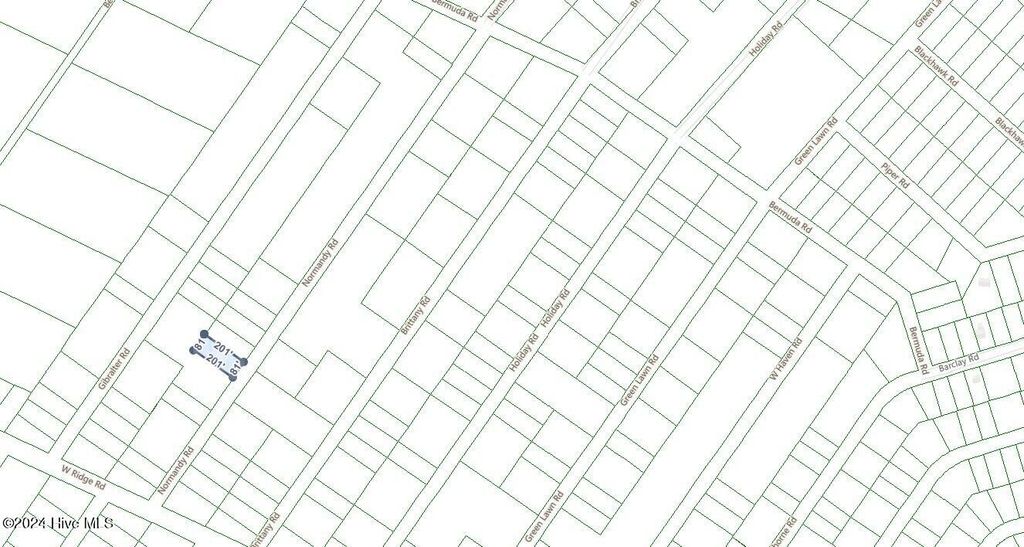 Photo of 705 Normandy Road, Boiling Spring Lakes, NC 28461 (MLS # 100477708)