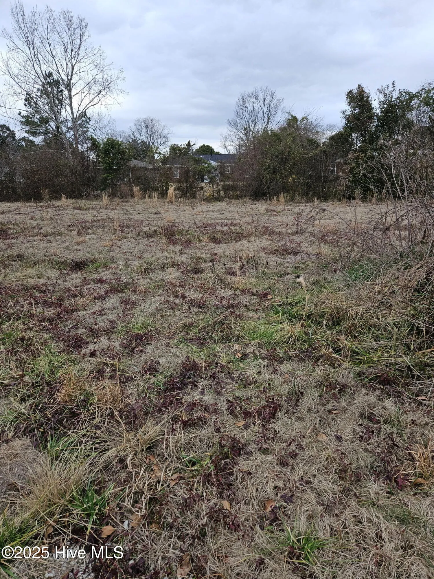 Wilmington, North Carolina 28405, United States, ,Land,Pending,7858