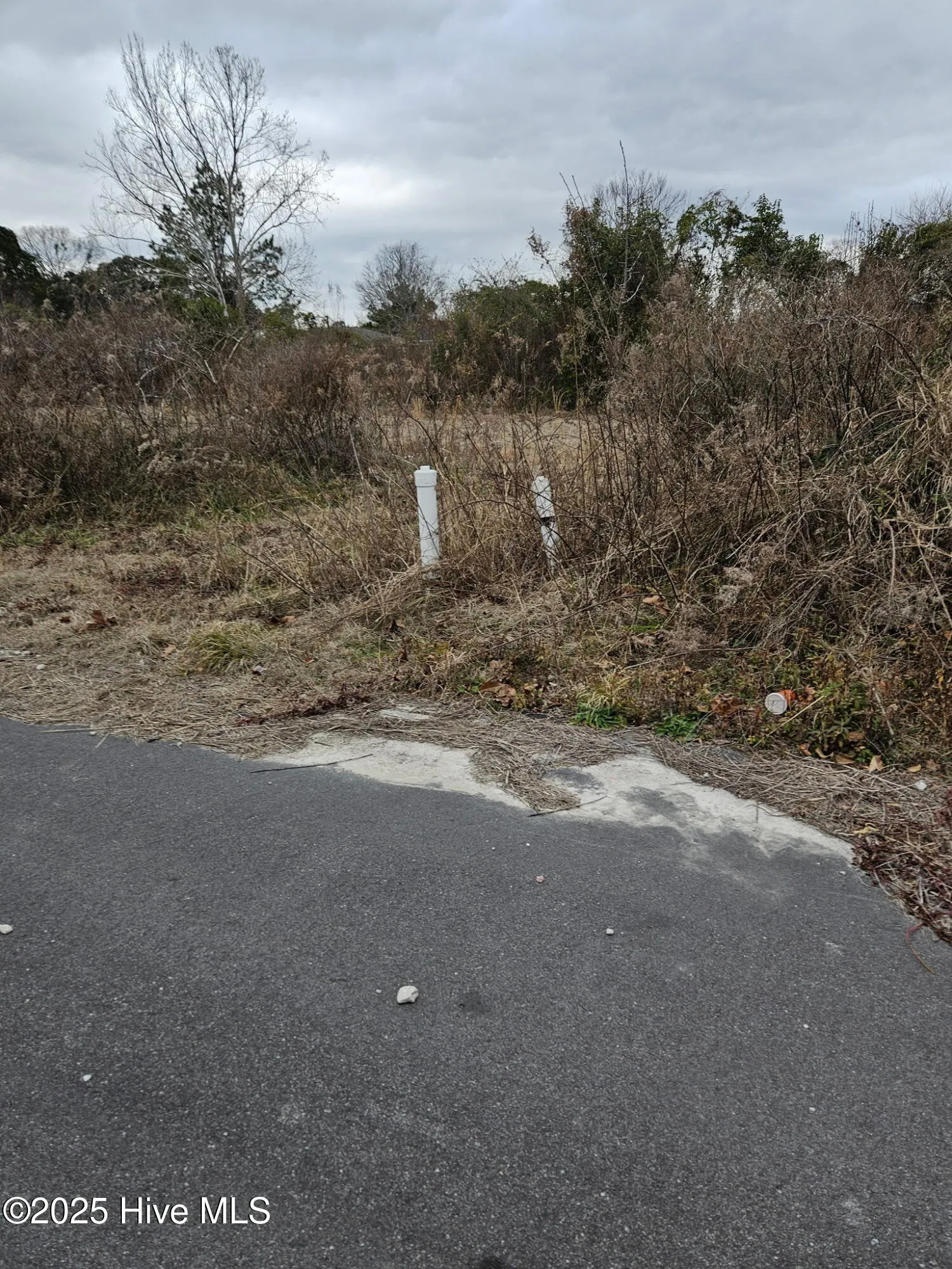 Wilmington, North Carolina 28405, United States, ,Land,Pending,7858