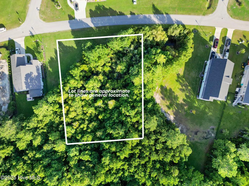 Photo of 207 Everett Park Trail, Holly Ridge, NC 28445 (MLS # 100523400)