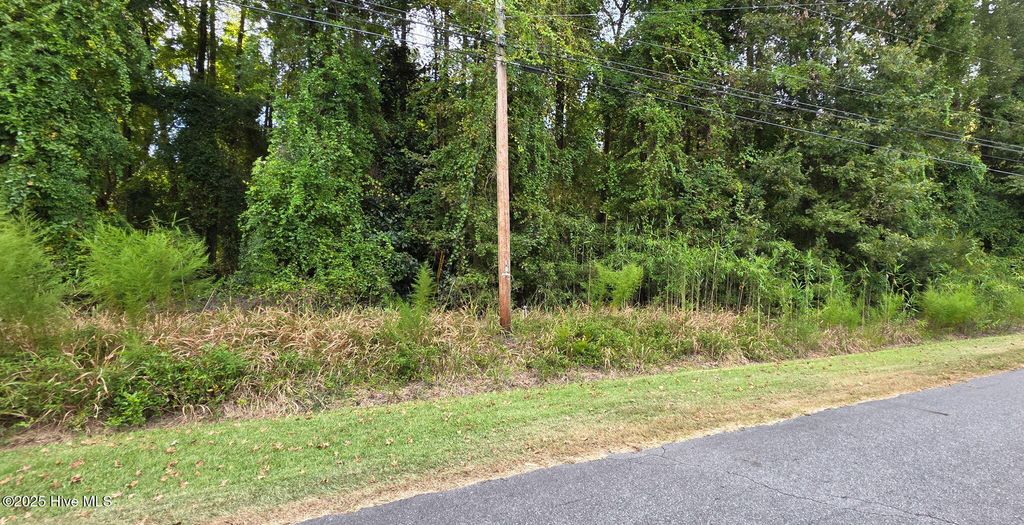 Photo of 0 Fairway Drive, Grifton, NC 28530 (MLS # 100530210)