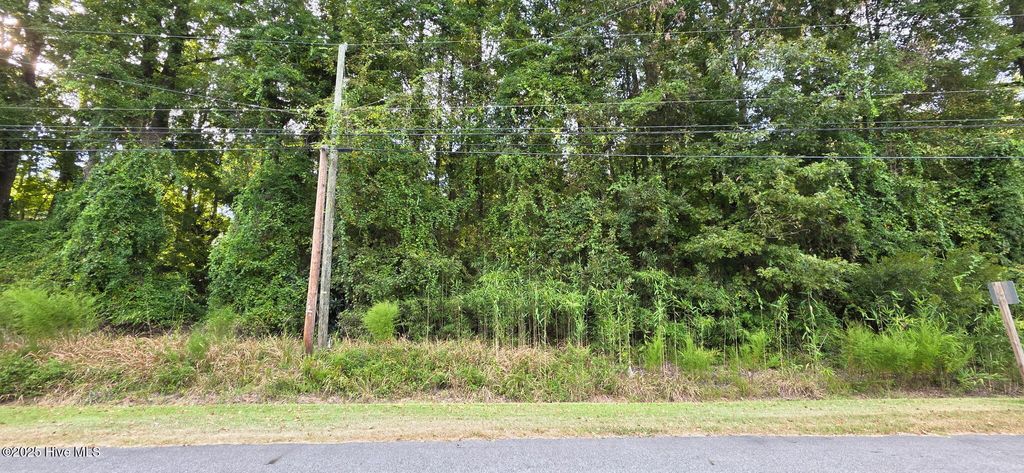 Photo of 0 Fairway Drive, Grifton, NC 28530 (MLS # 100530210)
