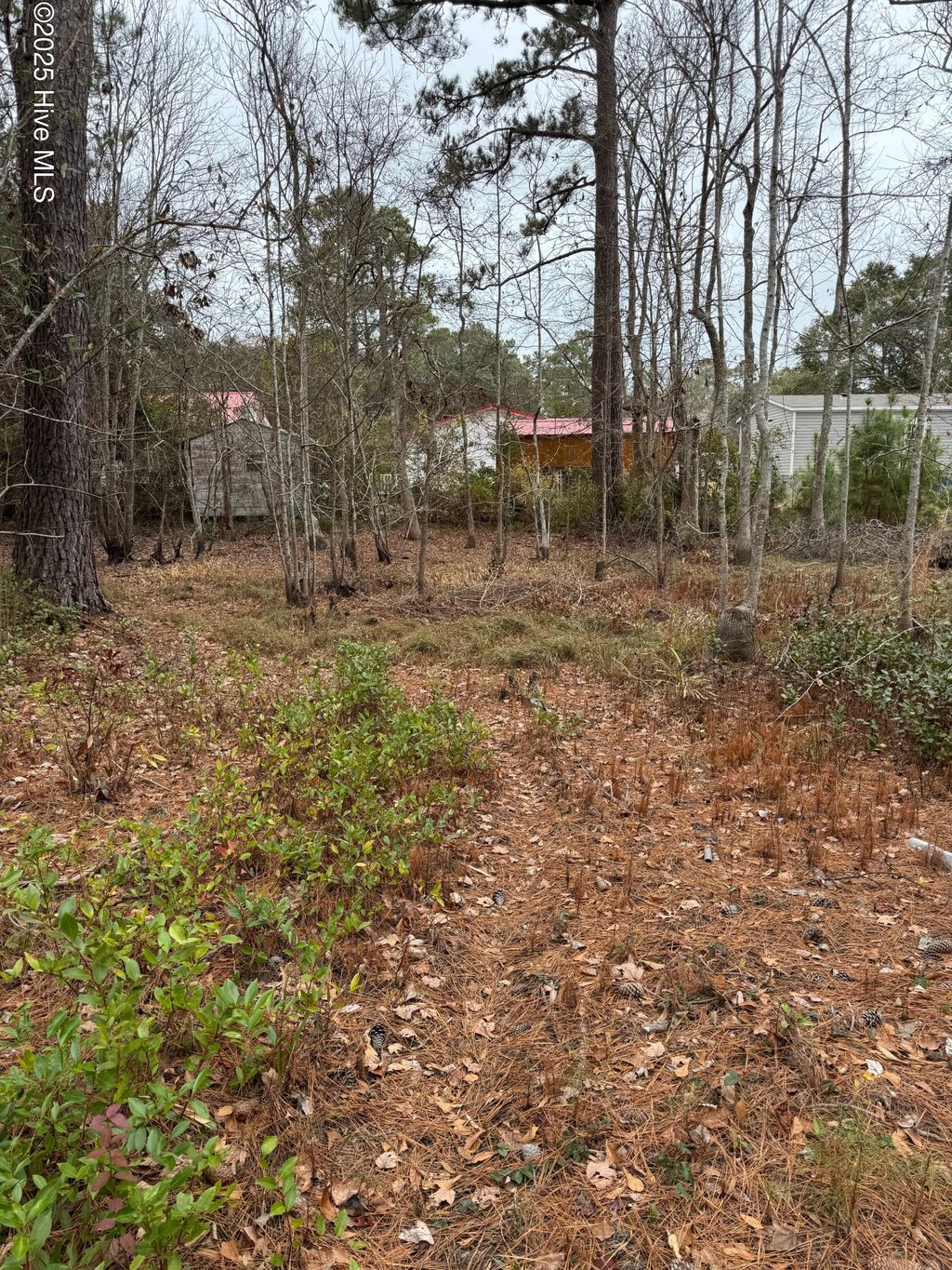 Photo of 659 Brookneal Street SE, Bolivia, NC 28422 (MLS # 100492121)