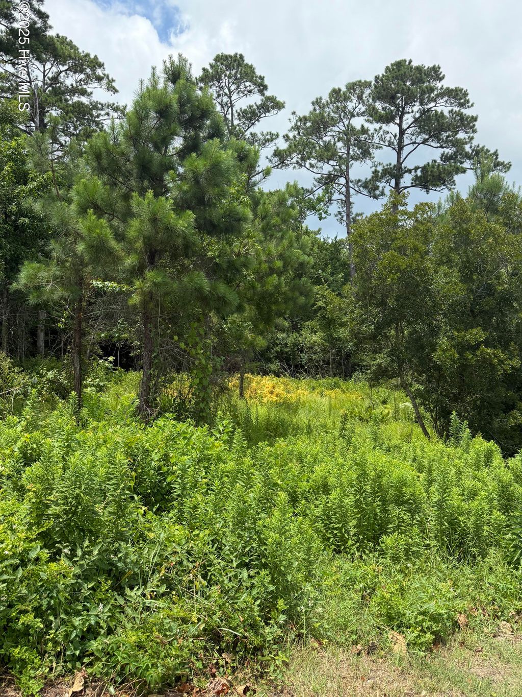 Photo of 1015 Meridian Drive, Sneads Ferry, NC 28460 (MLS # 100517634)