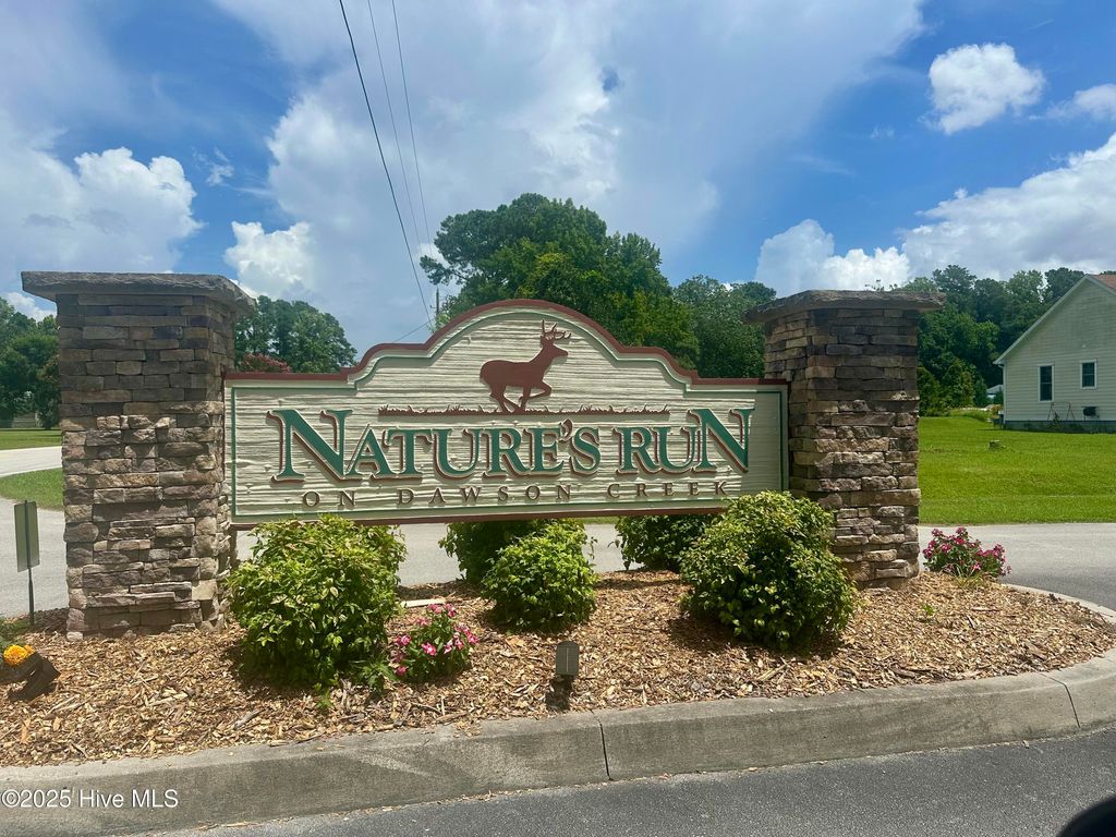 Photo of 45 Osprey Watch Lane E, Oriental, NC 28571 (MLS # 100519402)