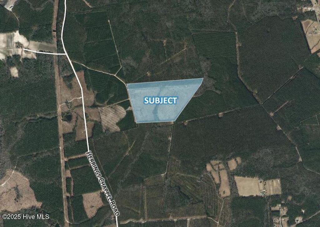 Photo of 0000 Herrings Chapel Road Road, Burgaw, NC 28425 (MLS # 100529928)
