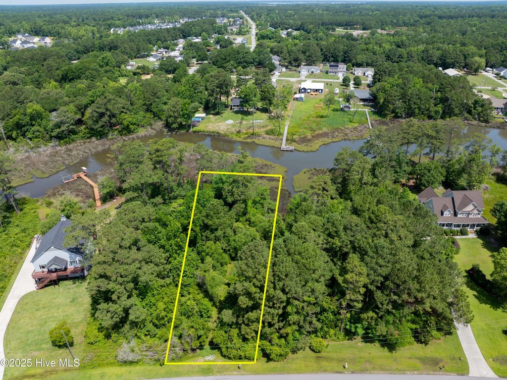 Photo of 331 Chadwick Shores Drive, Sneads Ferry, NC 28460 (MLS # 100516575)