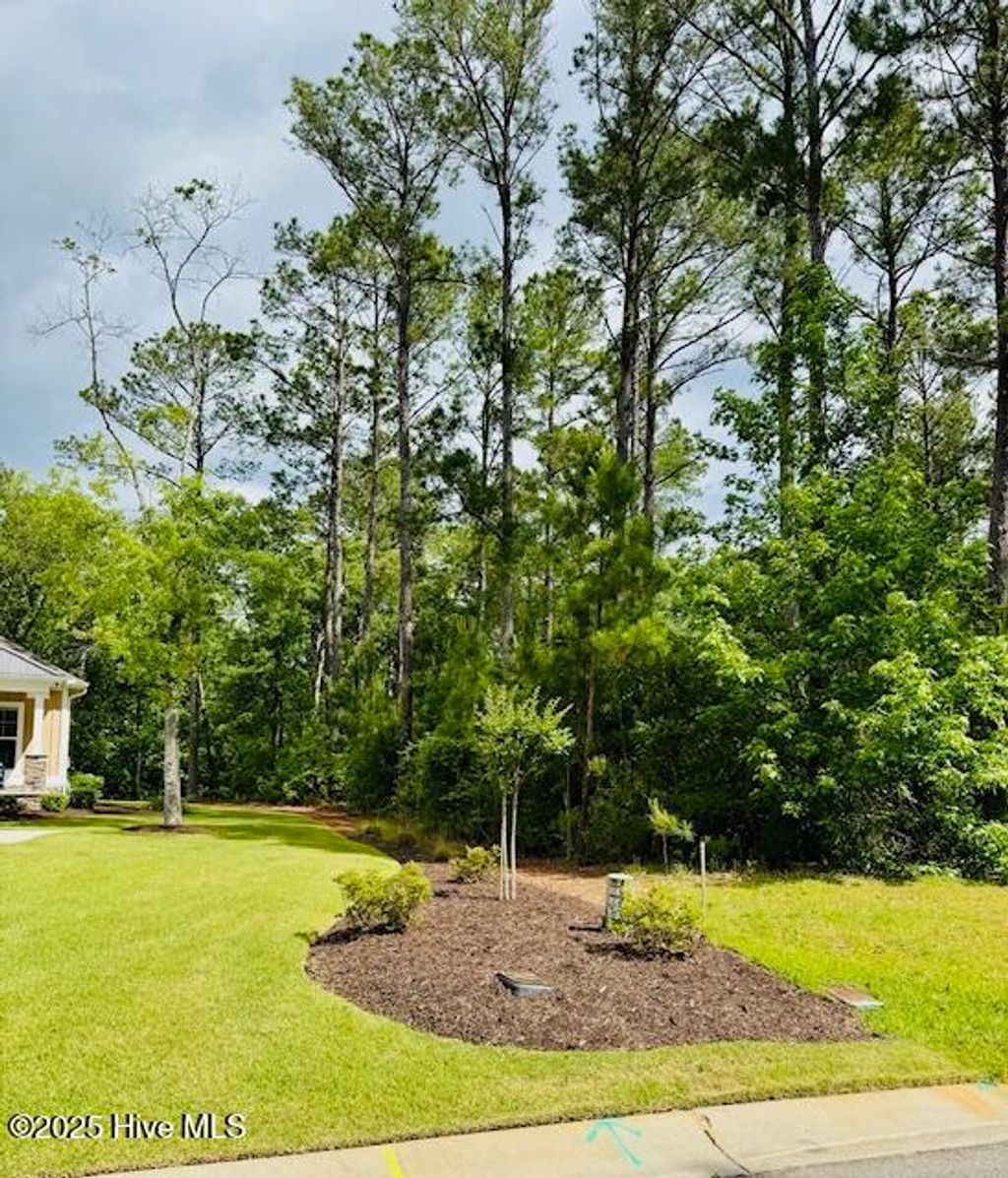 Photo of 9315 Buccaneer Court NE, Leland, NC 28451 (MLS # 100505435)