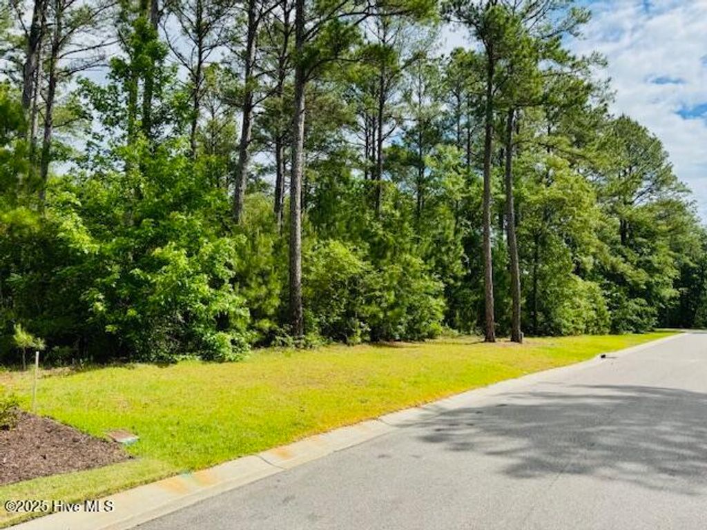 Photo of 9315 Buccaneer Court NE, Leland, NC 28451 (MLS # 100505435)