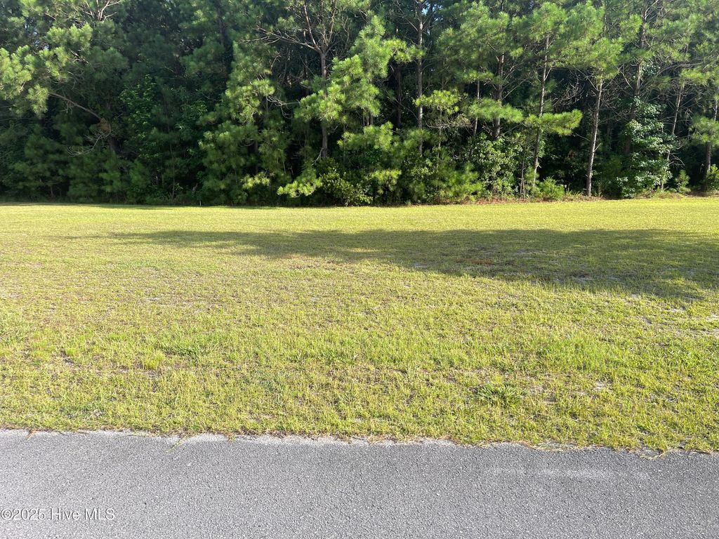Photo of 105 Ellery Street, Newport, NC 28570 (MLS # 100521583)