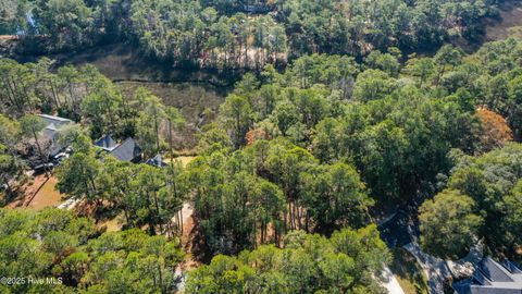 Tiny photo for 2967 Island Drive SE, Bolivia, NC 28422 (MLS # 100544315)