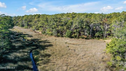 Tiny photo for 2967 Island Drive SE, Bolivia, NC 28422 (MLS # 100544315)