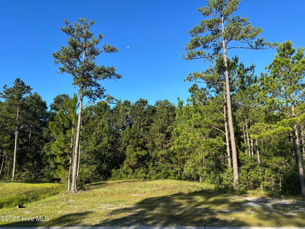 Photo of 957 Ashburton Road SE, Bolivia, NC 28422 (MLS # 100520796)