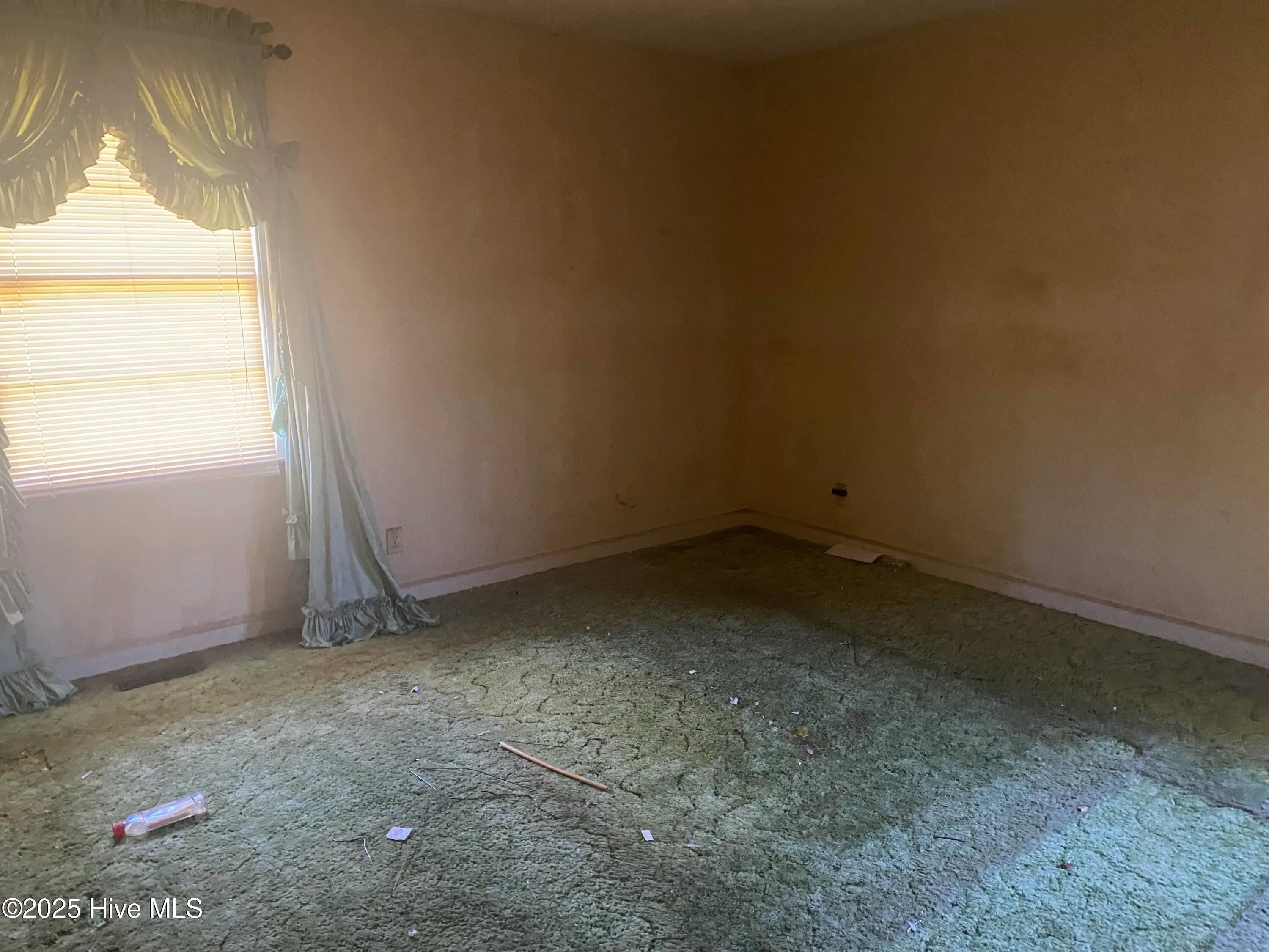 Faison, North Carolina 28341, United States, 4 Bedrooms Bedrooms, ,3 BathroomsBathrooms,Residential,Active,134184