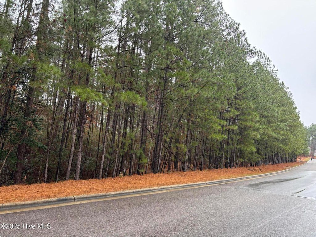 Photo of 40 Chestertown Drive, Pinehurst, NC 28374 (MLS # 100544262)