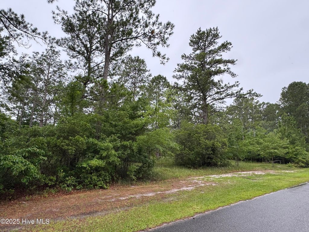 Photo of 4215 Happy Valley Lane SW, Shallotte, NC 28470 (MLS # 100513677)