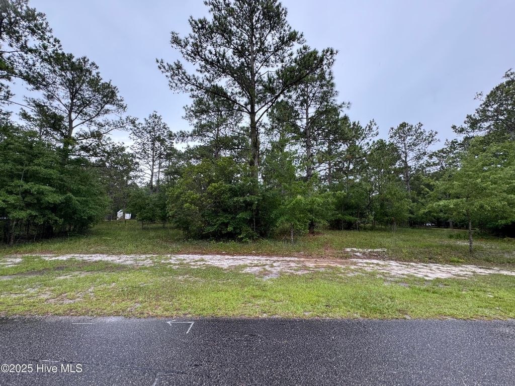 Photo of 4215 Happy Valley Lane SW, Shallotte, NC 28470 (MLS # 100513677)