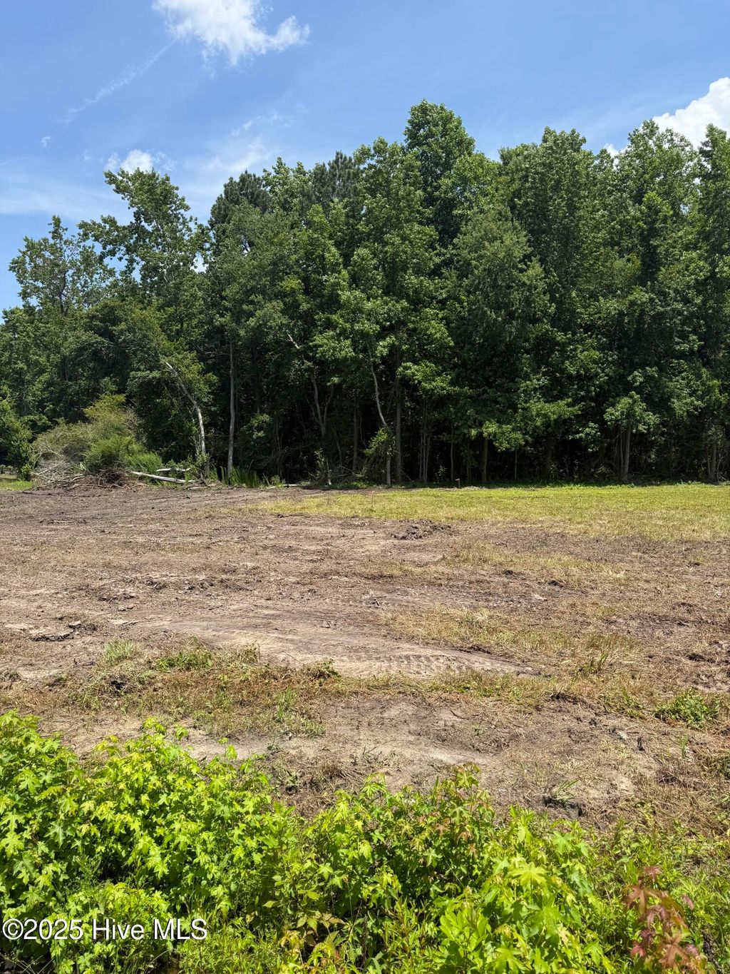 Photo of 308 Belgian Court, Richlands, NC 28574 (MLS # 100516615)