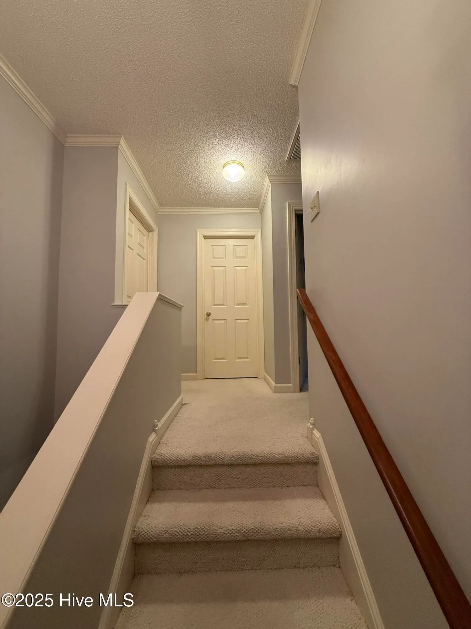 Goldsboro, North Carolina 27534, United States, 3 Bedrooms Bedrooms, ,2 BathroomsBathrooms,Residential,Active,242790