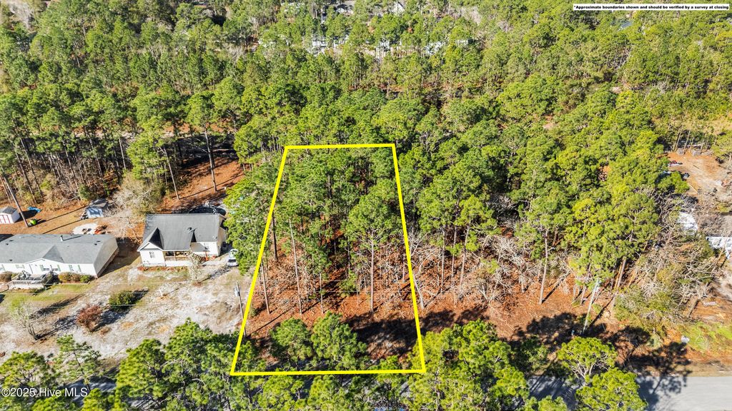 Photo of 103 Cherokee Road, Boiling Spring Lakes, NC 28461 (MLS # 100538844)