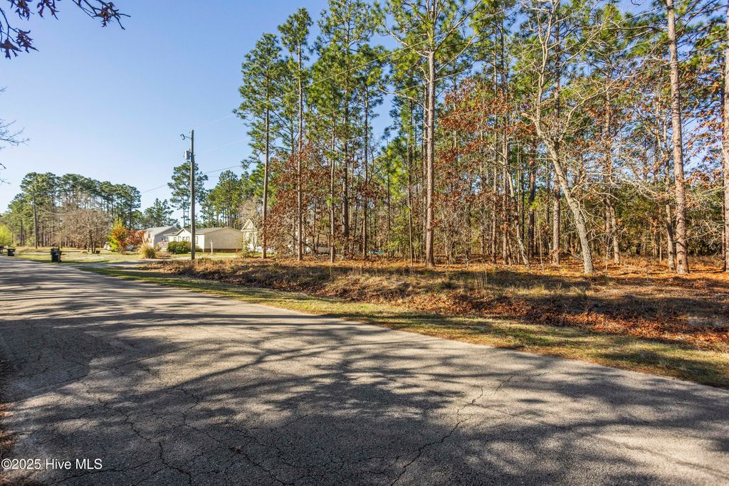 Photo of 103 Cherokee Road, Boiling Spring Lakes, NC 28461 (MLS # 100538844)