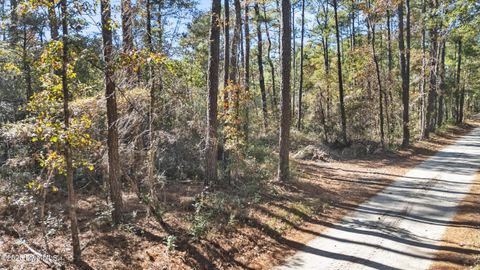 Tiny photo for 3 Lacer Way, Currie, NC 28435 (MLS # 100539946)