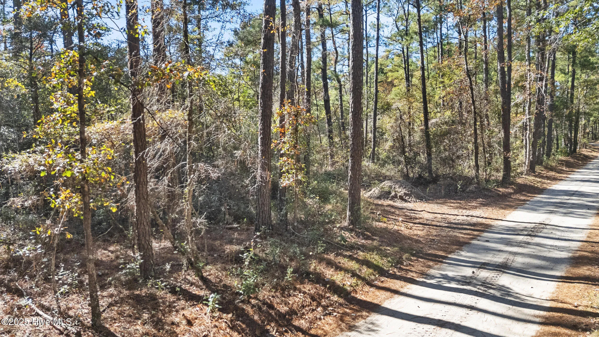 Currie, North Carolina 28435, United States, ,Land,Active,239894