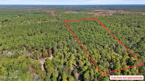 Tiny photo for 3 Lacer Way, Currie, NC 28435 (MLS # 100539946)