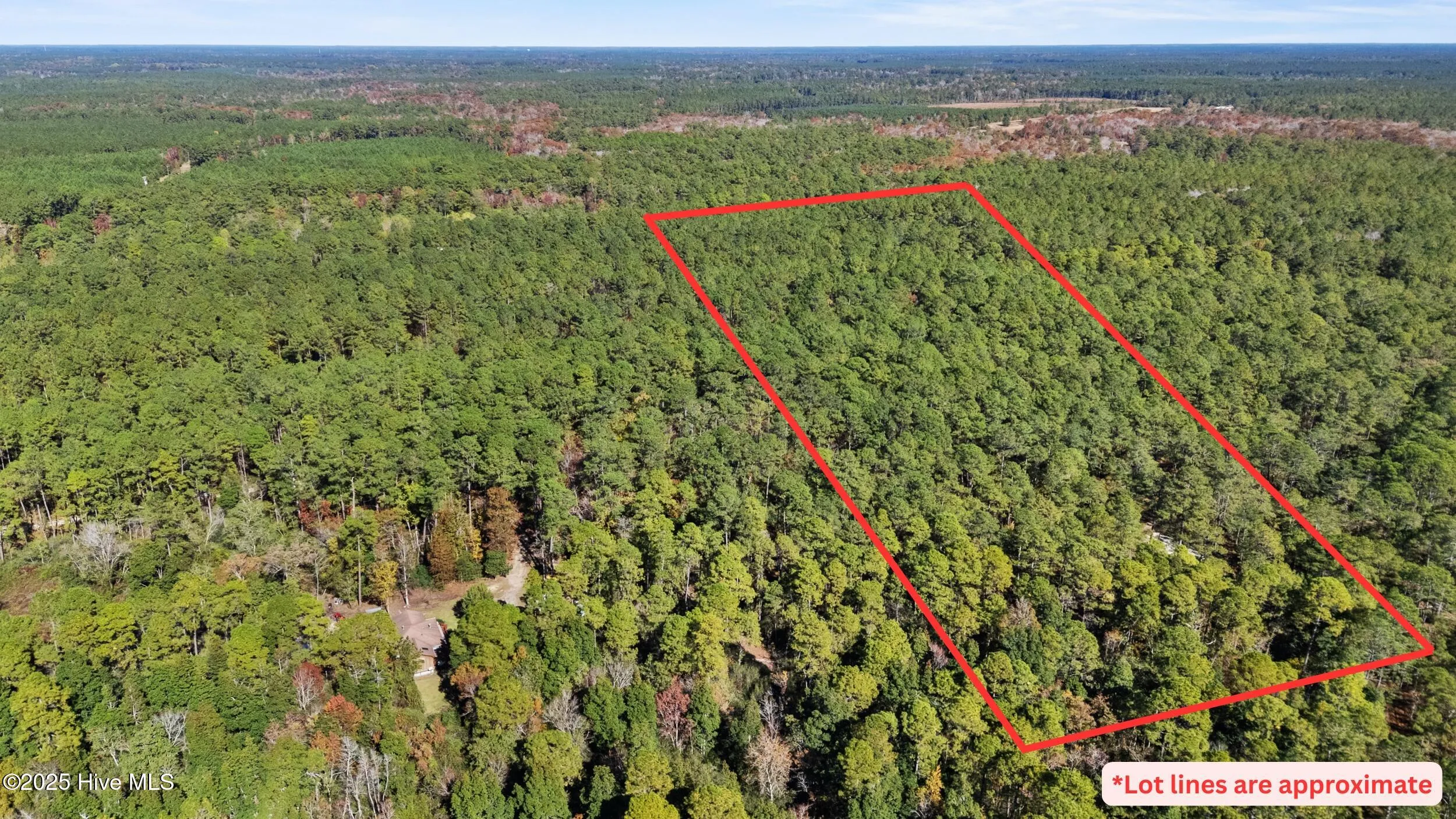 Currie, North Carolina 28435, United States, ,Land,Active,239894