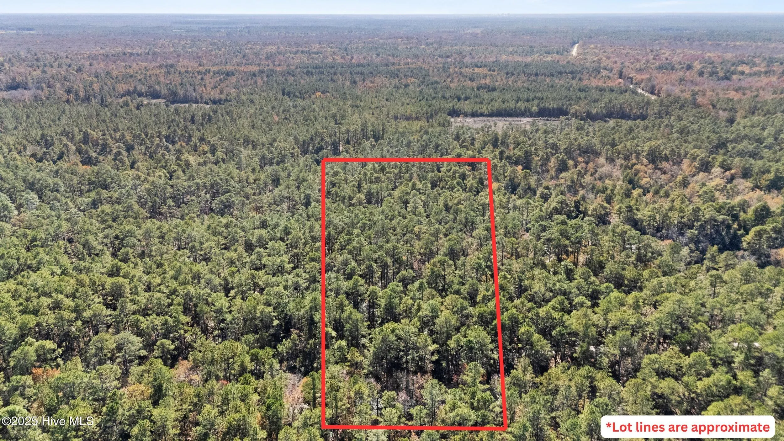 Currie, North Carolina 28435, United States, ,Land,Active,239894