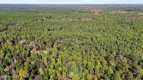 Tiny photo for 3 Lacer Way, Currie, NC 28435 (MLS # 100539946)