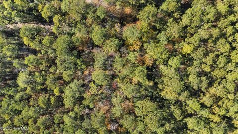 Tiny photo for 3 Lacer Way, Currie, NC 28435 (MLS # 100539946)