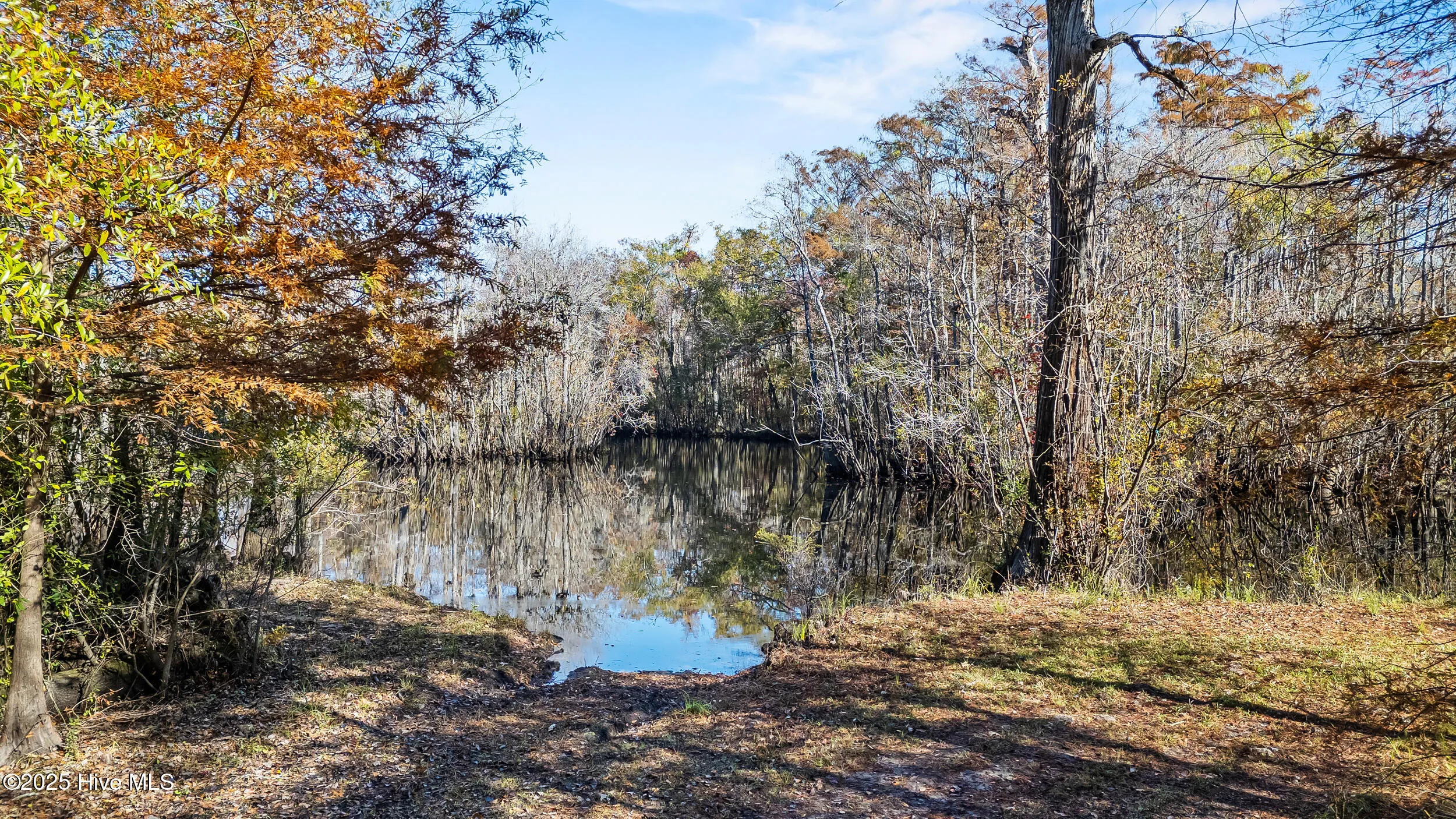 Currie, North Carolina 28435, United States, ,Land,Active,239894