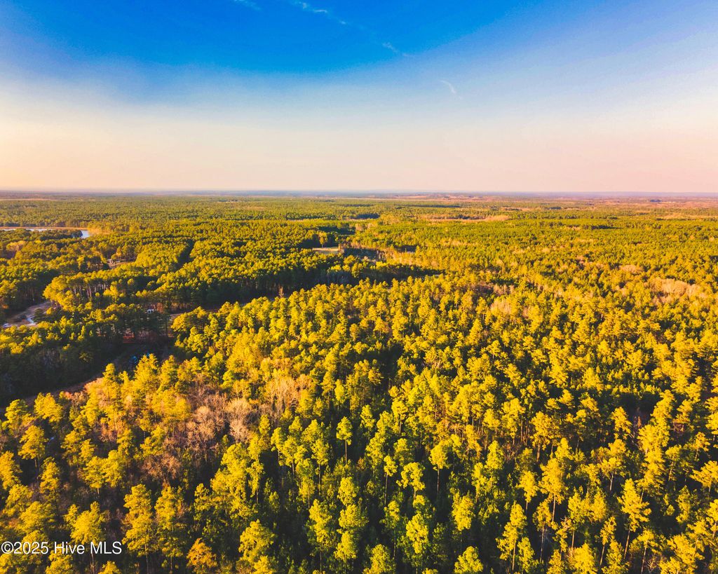 Photo of 6 Peach Orchard Road, Wagram, NC 28396 (MLS # 100535682)