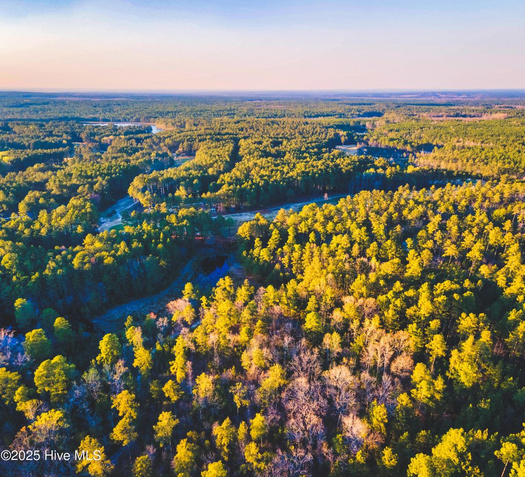 Photo of 6 Peach Orchard Road, Wagram, NC 28396 (MLS # 100535682)