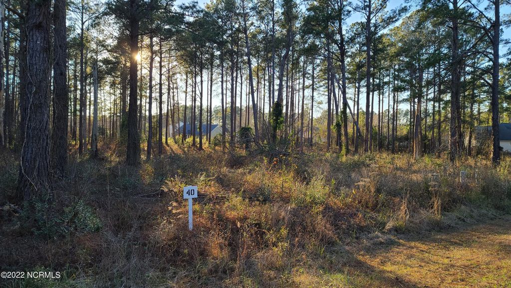 Photo of 116 Cedarwood Dr, Havelock, NC 28532 (MLS # 100449437)