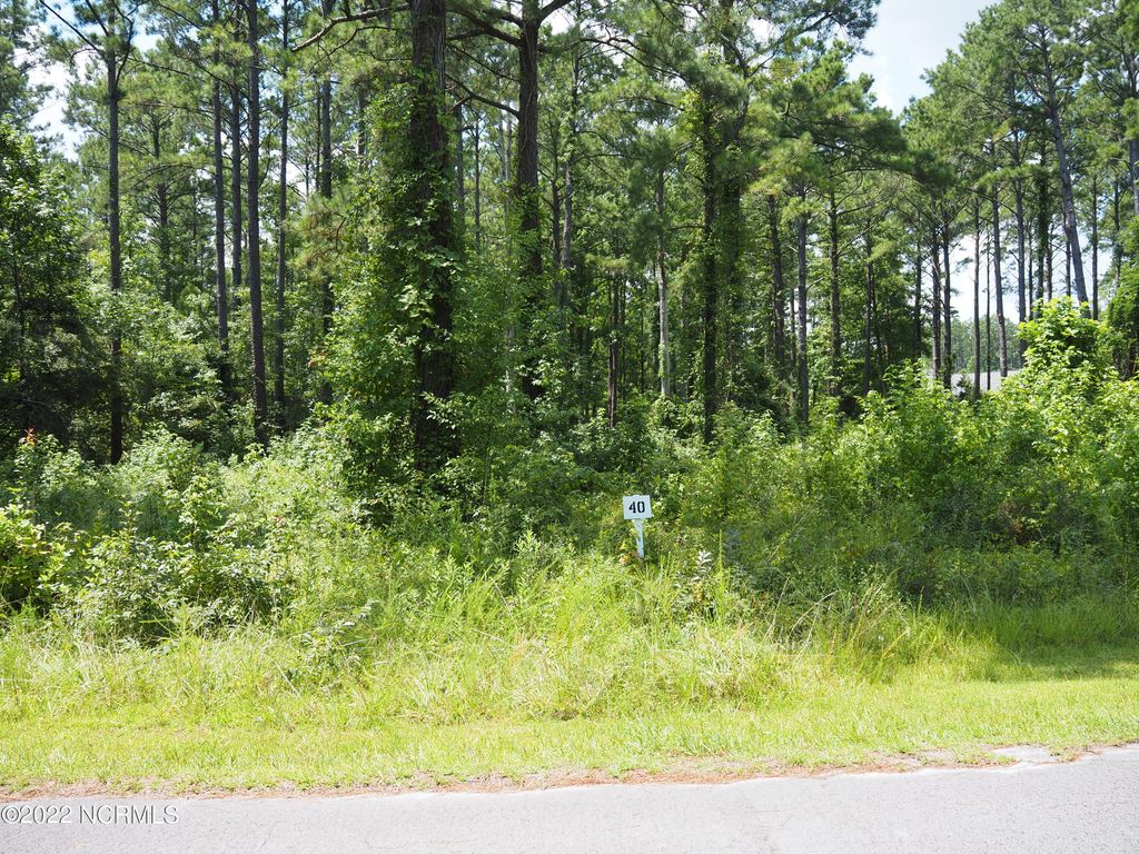 Photo of 116 Cedarwood Dr, Havelock, NC 28532 (MLS # 100449437)