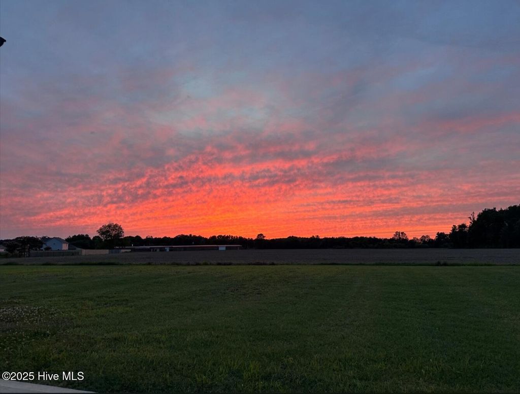 Photo of 719 New Daniels Chapel Road, Fremont, NC 27830 (MLS # 100539212)