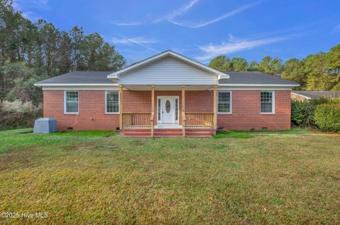 Photo of 4993 Penderlea Highway, Willard, NC 28478 (MLS # 100543763)