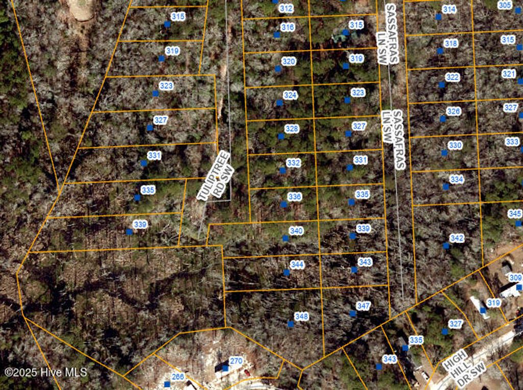 Photo of 343 Sassafras Road SW, Supply, NC 28462 (MLS # 100512615)