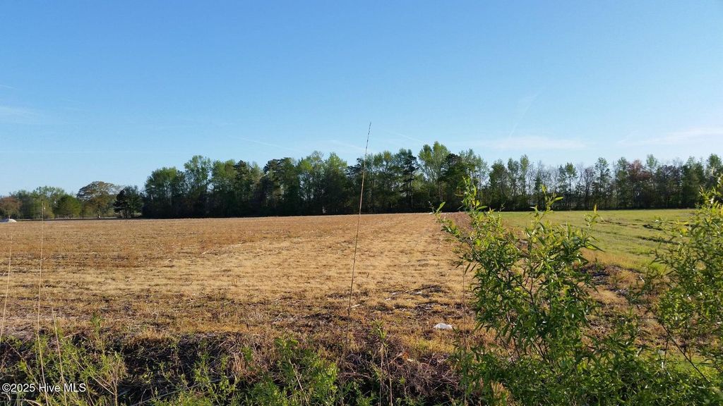Photo of 120 Old Main Road, Pembroke, NC 28372 (MLS # 100538336)