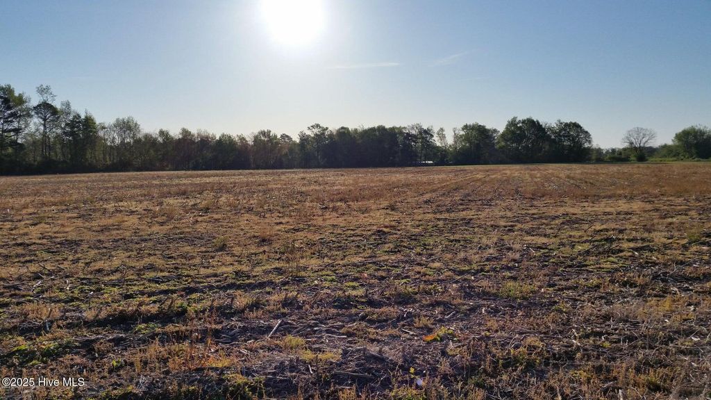 Photo of 120 Old Main Road, Pembroke, NC 28372 (MLS # 100538336)