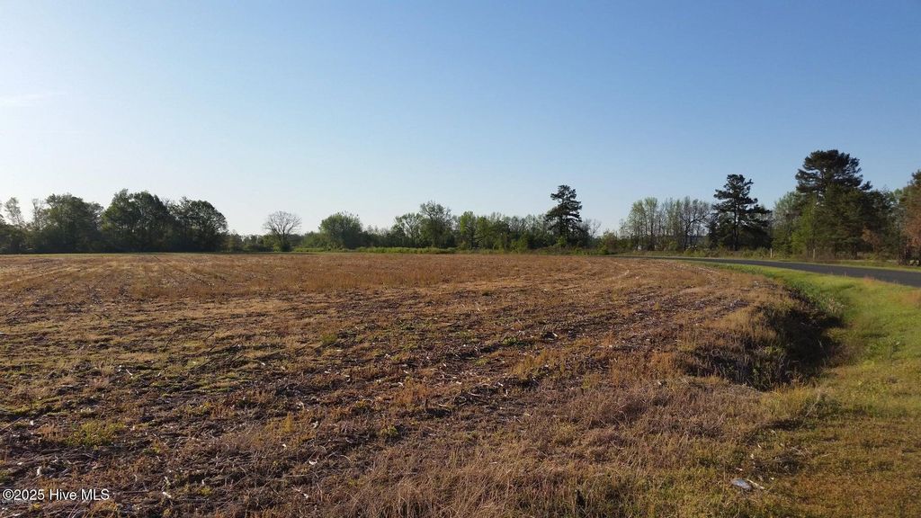 Photo of 120 Old Main Road, Pembroke, NC 28372 (MLS # 100538336)
