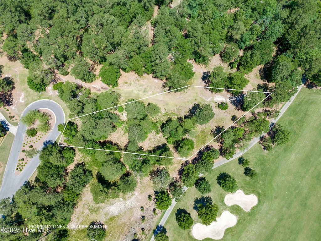 Photo of 170 Pine Ridge Drive, Wallace, NC 28466 (MLS # 100517916)