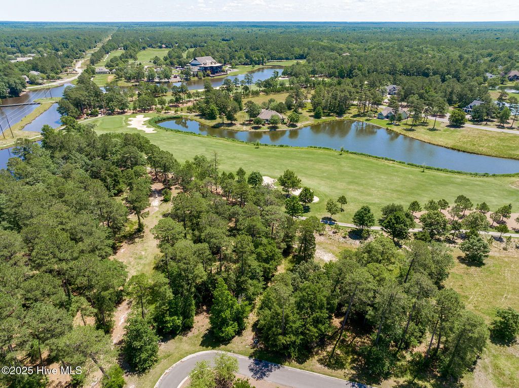 Photo of 170 Pine Ridge Drive, Wallace, NC 28466 (MLS # 100517916)