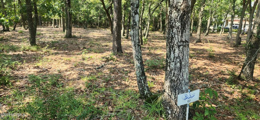 Photo of 588 N Seascape Boulevard SW, Holden Beach, NC 28462 (MLS # 100460374)