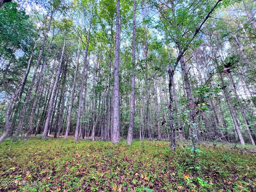 Photo of 0 Old Lewis School Road, Middlesex, NC 27557 (MLS # 100536397)