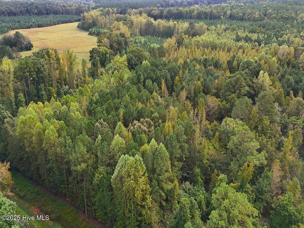 Photo of 0 Old Lewis School Road, Middlesex, NC 27557 (MLS # 100536397)