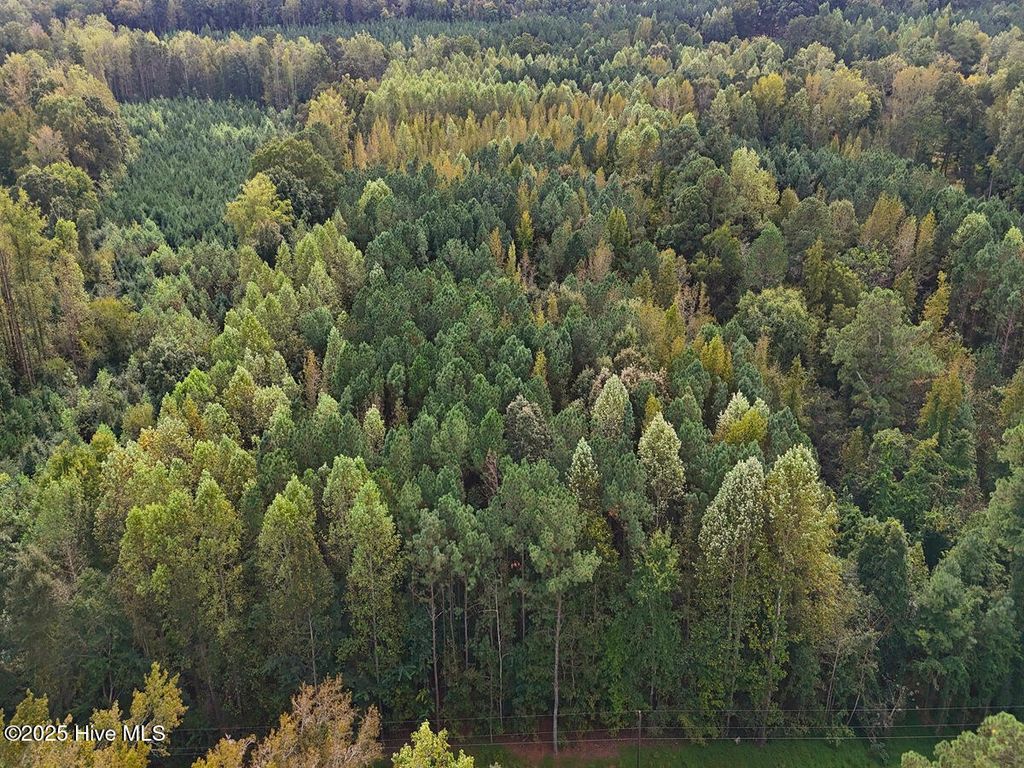 Photo of 0 Old Lewis School Road, Middlesex, NC 27557 (MLS # 100536397)